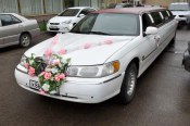 limousines
