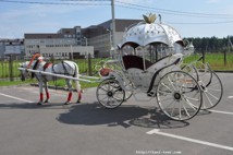 Карета с лошадью
