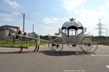 Карета с лошадью