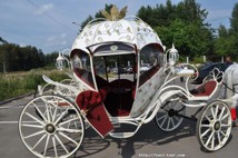 Карета с лошадью